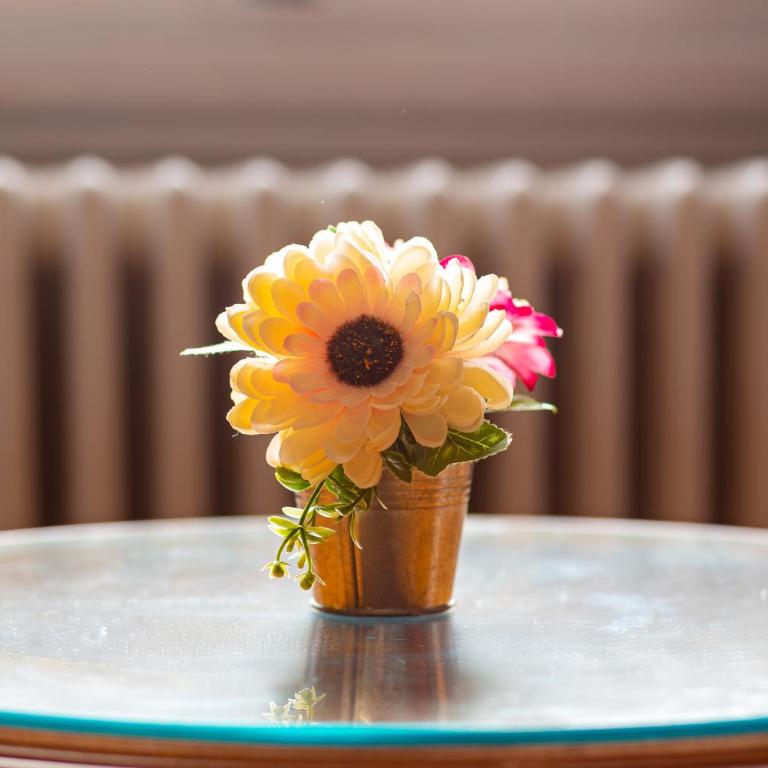 Hotel Villani - Camera Deluxe Matrimoniale/Doppia con Letti Singoli con Vista Città - 3