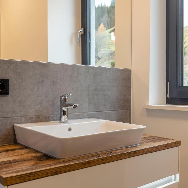 Hideaway Dachstein West by ALPS RESORTS - Ferienapartment & Infinity-Pool - 15