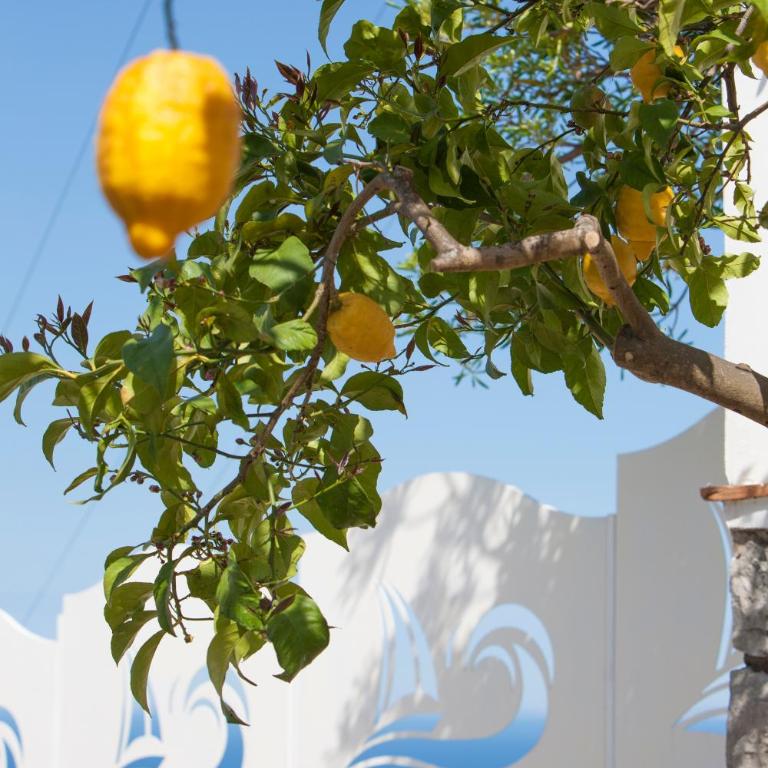 Villa Venus in Penisola sorrentina - Casa con 3 Camere da Letto - 36
