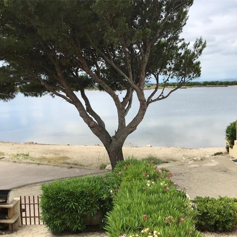Appartement T3 - 6 pers, Terrasse, Proche Plages, Parking - FR-1-81-122 - Appartement (6 Adultes) - 2