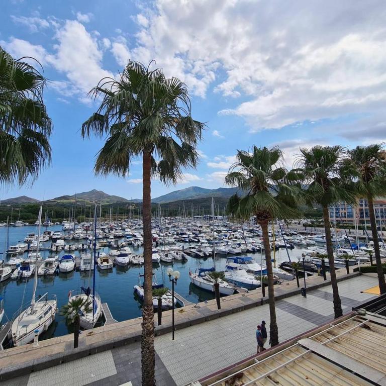 T2 Cabine, 4-6 pers, Parking, 150m plage - Argelès-sur-Mer - FR-1-388-16 - Appartement (6 Adultes) - 12