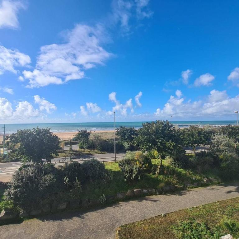 Studio en bord de mer avec parking et animaux admis - FR-1-224C-197 - Apartment (3 Erwachsene) - 10