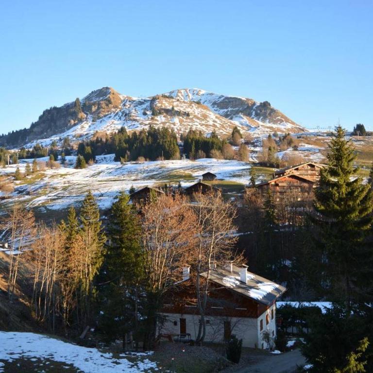 Studio ensoleillé 4 pers. avec balcon et parking, 200m des pistes, au cœur du Chinaillon - FR-1-241-107 - Estudio - 14