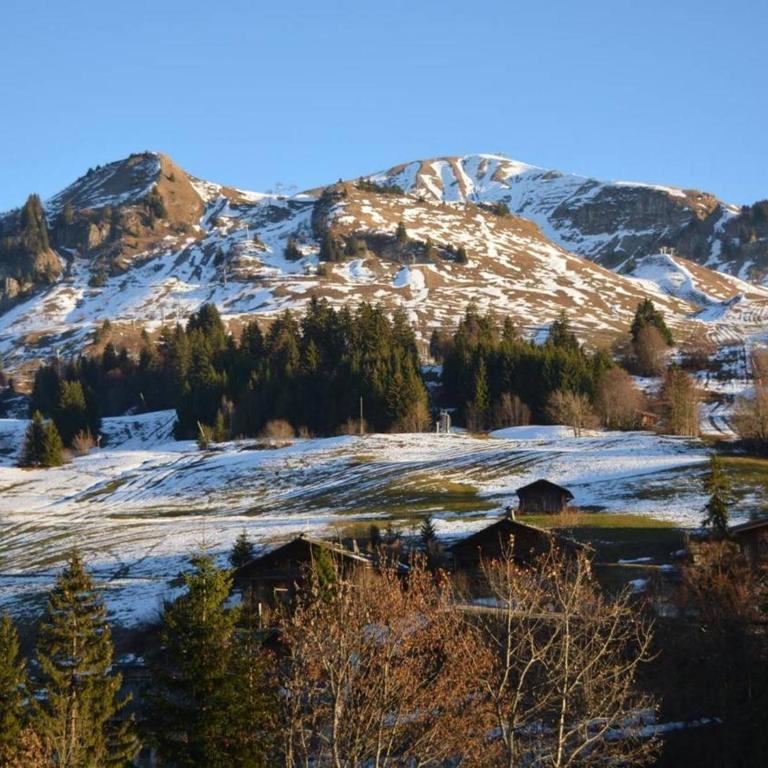 Studio ensoleillé 4 pers. avec balcon et parking, 200m des pistes, au cœur du Chinaillon - FR-1-241-107 - Estudio - 15