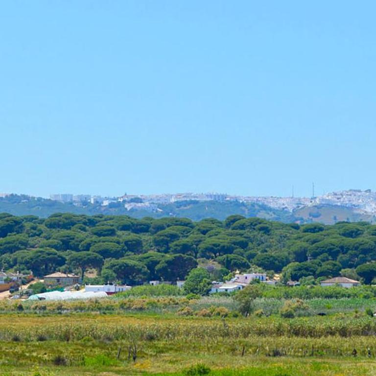 Poniente - Apartamento de 1 dormitorio - 23