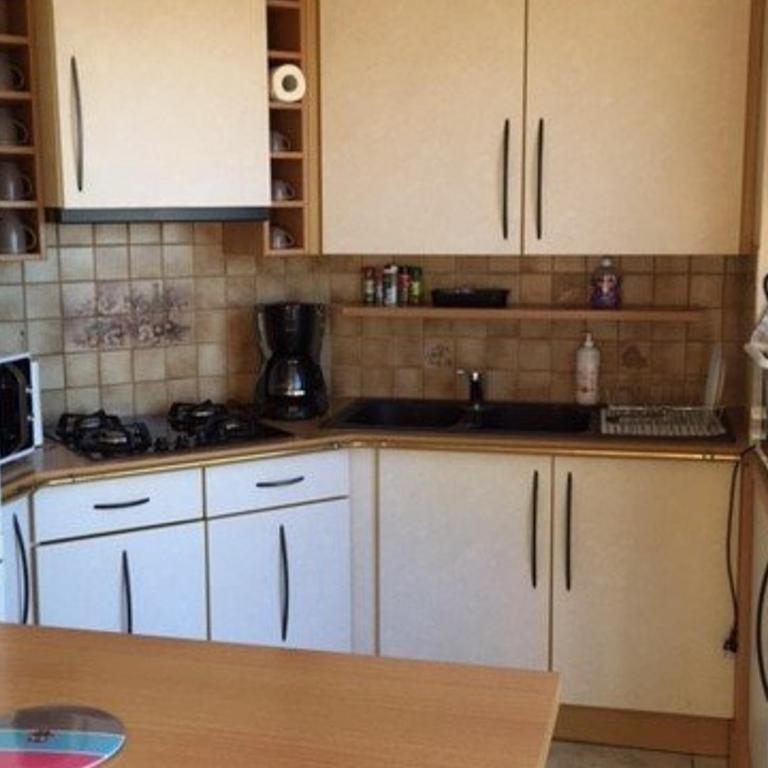 Appartement T3, 6 pers, BBQ, terrasse, parking, plage à prox. - FR-1-81-397 - Appartamento (6 Adulti) - 4
