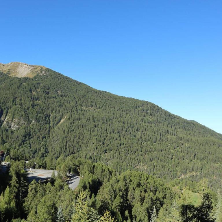 Appartement rénové 8 pers aux Orres, accès direct pistes - FR-1-322-87 - Appartamento (8 Adulti) - 8