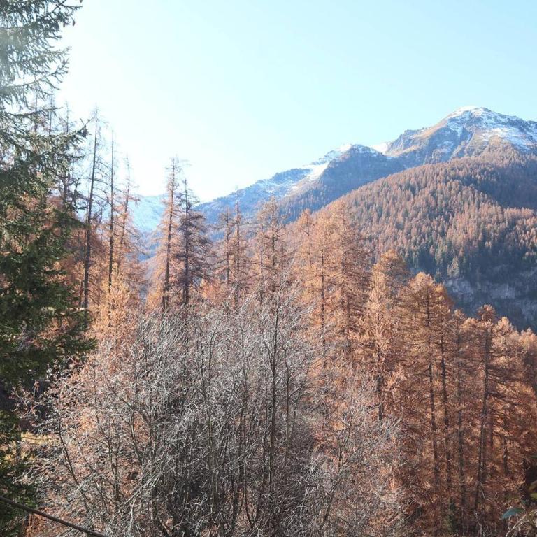 Studio cosy skis aux pieds, balcon sud-est, 400m centre station, parking, quartier calme - FR-1-322-97 - Apartment (4 Erwachsene) - 11