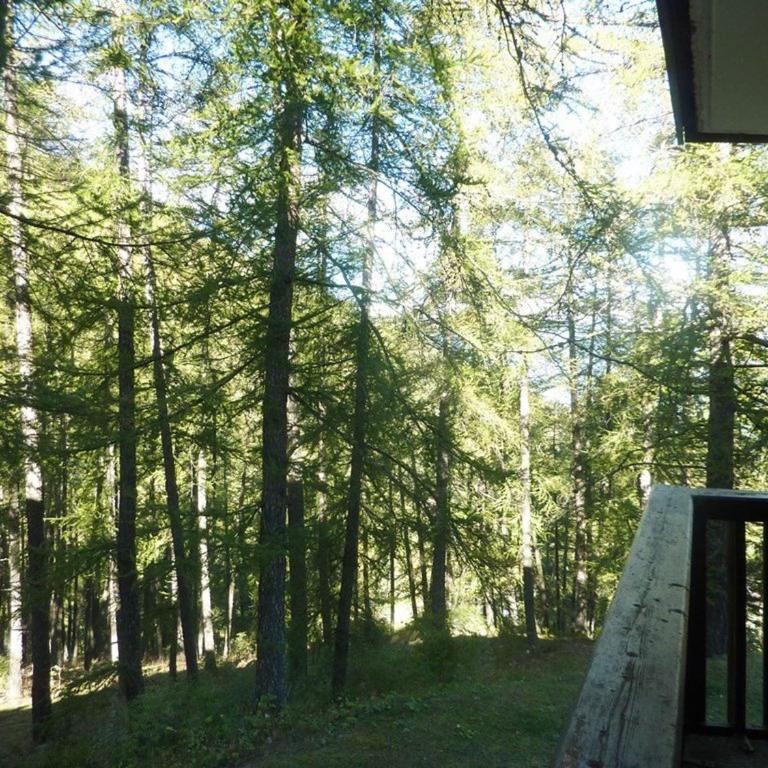 Appt skis aux pieds avec parking, balcon, 4 lits, animaux acceptés - FR-1-322-154 - Apartment (6 Erwachsene) - 2