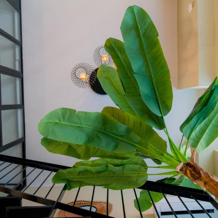 Milano Experience Home - Jungle - Appartamento con 1 Camera da Letto - 15