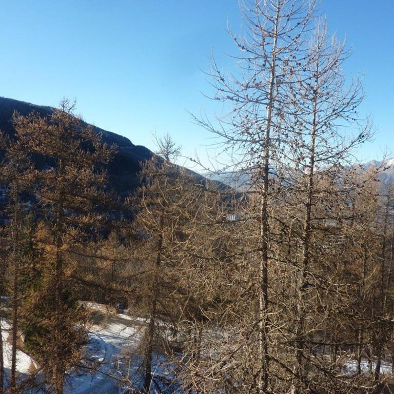 Appartement ski-in/ski-out 6 pers, balcon, proche jardin d'enfants - FR-1-322-204 - Apartment (6 Erwachsene) - 3