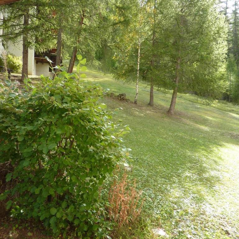 Grand appart rénové pour 8 pers, accès direct pistes, 1 ch, animaux ok - FR-1-322-233 - Apartment (6 Erwachsene) - 10