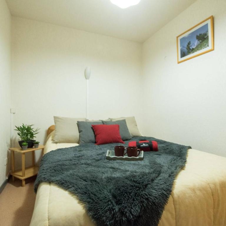 Appartement calme avec balcon, 6 personnes, centre Saint-Lary Soulan, proche remontées et parking privé - FR-1-296-155 - Apartment (6 Erwachsene) - 6