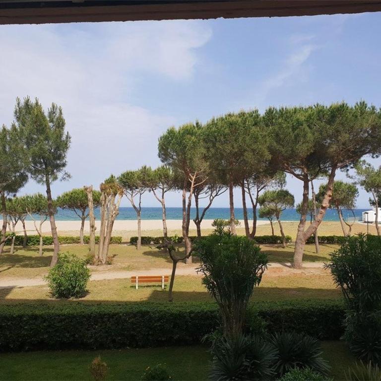 Appartement T2 en bord de mer - Terrasse - Parking - Argelès-sur-Mer - FR-1-388-31 - Appartement (4 Adultes) - 1