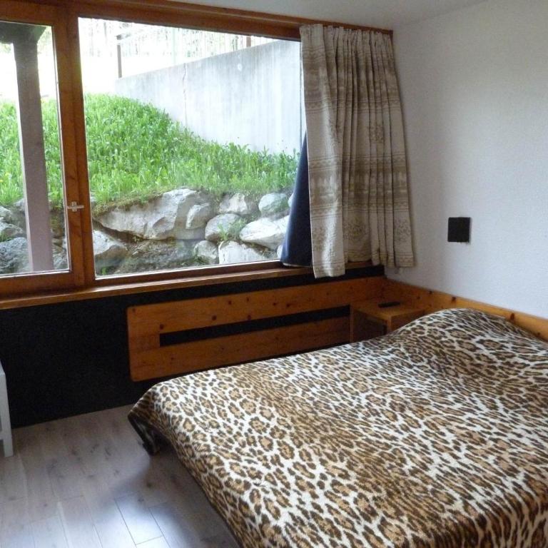 Appartement duplex, animaux OK - 10 pers., vue pistes - FR-1-411-45 - Appartement (10 Adultes) - 6