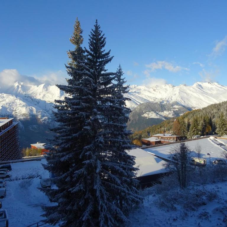 Studio cosy 4 pers, skis aux pieds, Arc 1800 - FR-1-411-65 - Studio - 4