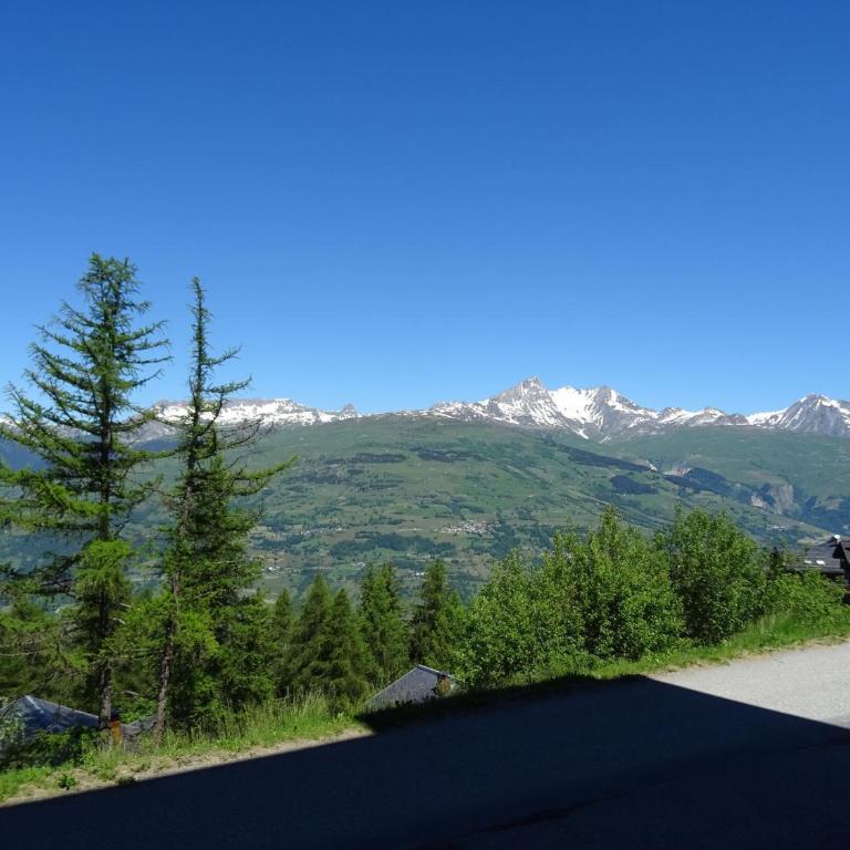 Appartement duplex 3 pièces, 6 pers., à Vallandry, animaux admis - Appartement 1 Chambre - 3