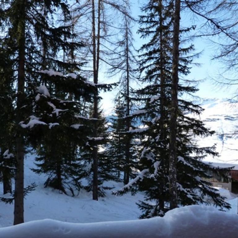 Duplex 2 pièces, 6 pers., ski aux pieds, Arc 1800, animaux admis - FR-1-411-219 - Appartement 1 Chambre - 3