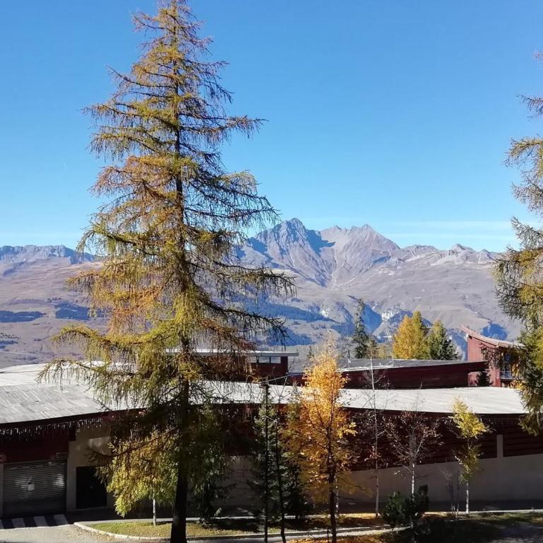 Duplex 2 pièces, 6 pers., ski aux pieds, Arc 1800, animaux admis - FR-1-411-219 - Appartement 1 Chambre - 9
