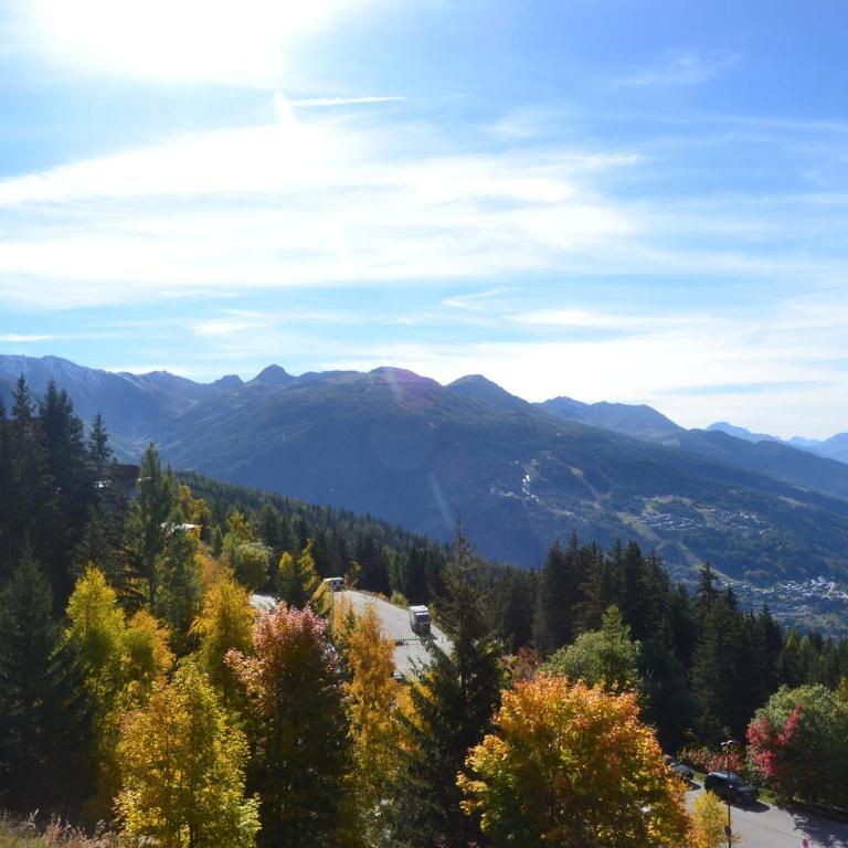 Appartement lumineux 2 pièces, 6 pers., vue vallée, casier à ski, aux Arcs 1800 - FR-1-411-92 - Apartamento (6 adultos) - 3