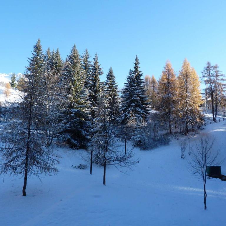 Duplex 2 pièces pour 5 pers, proche pistes, Arc 1800, animaux admis - FR-1-411-286 - Apartment (5 Adults) - 8