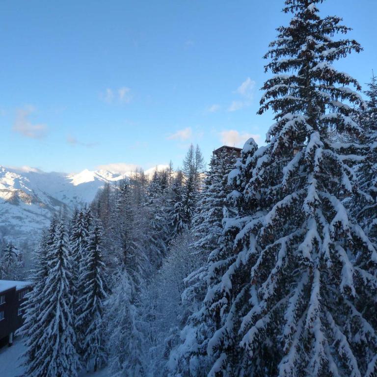 Studio cosy pour 2 aux Arcs 1800, accès wifi, parking optionnel - FR-1-411-304 - Estudio - 12