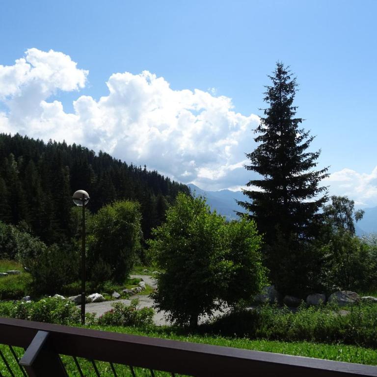 Duplex cosy 7 pers. à Arc 1600, proche pistes, balcon sud, wifi, animaux admis - FR-1-411-159 - Apartamento (7 adultos) - 13