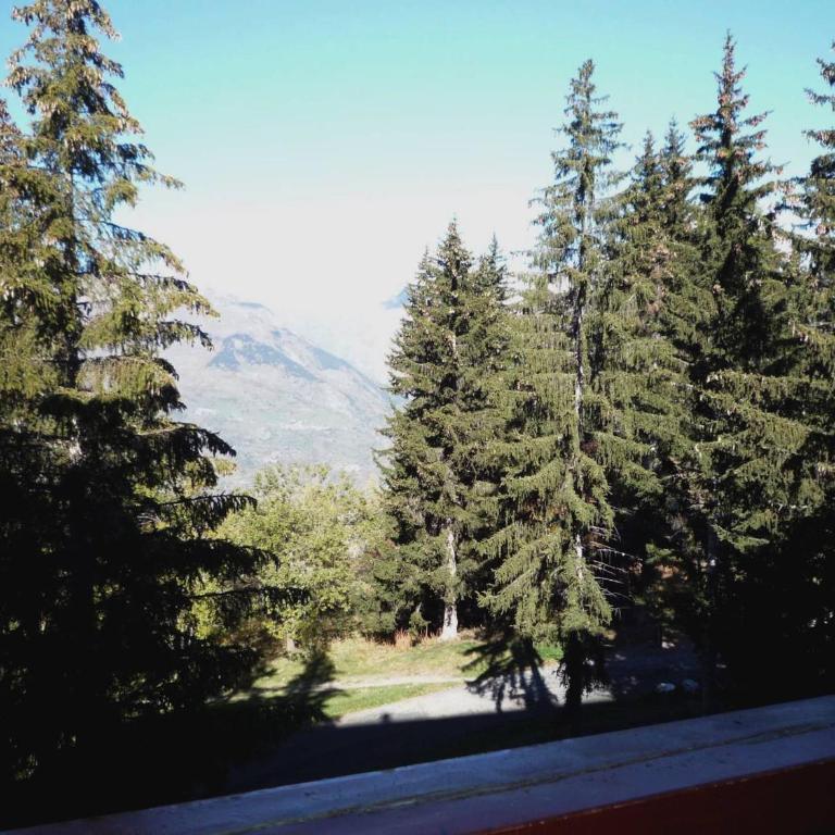 Studio skis aux pieds, balcon, animaux admis, Arc 1800 - FR-1-411-374 - Studio - 11
