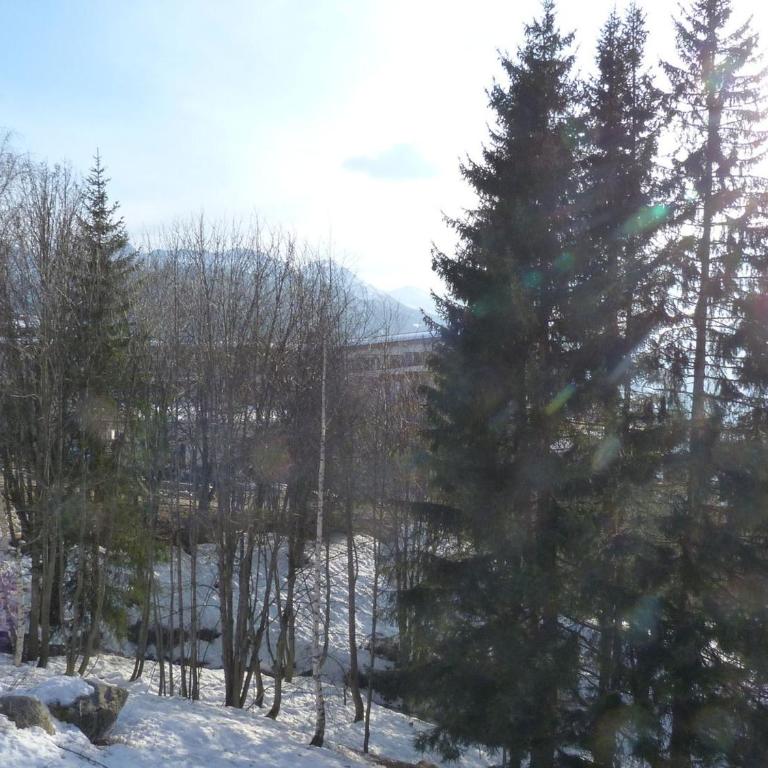 Appartement 2 pièces 6 pers, balcon, animaux admis, WiFi, Arc 1800 - FR-1-411-417 - Appartement (6 Adultes) - 19