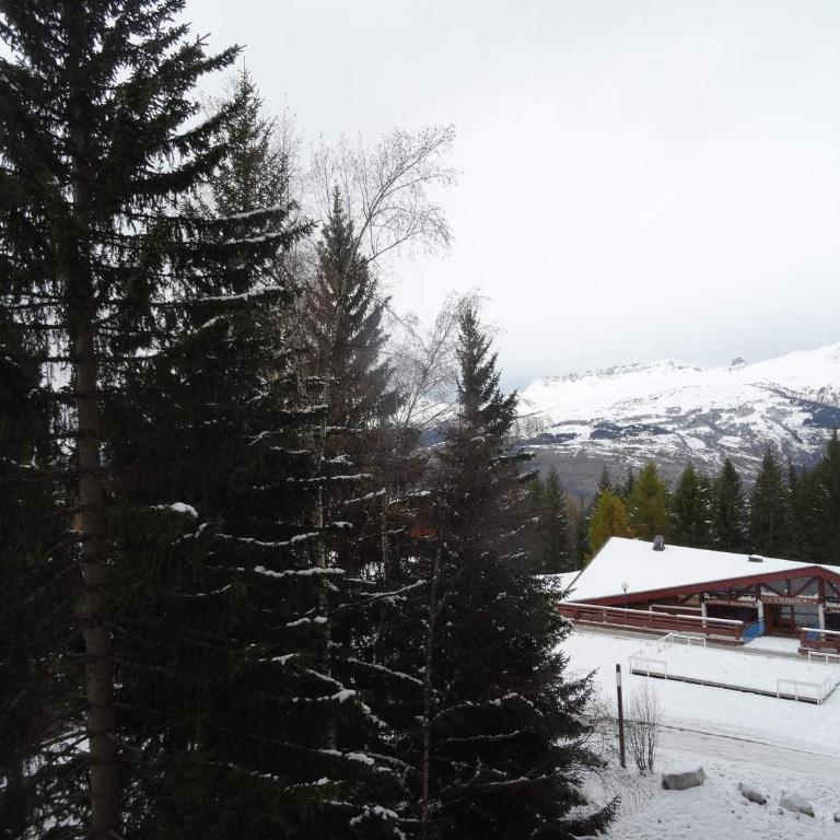 Studio skis aux pieds, 4 pers, animaux admis - Les Arcs 1800 - FR-1-411-389 - Studio - 5
