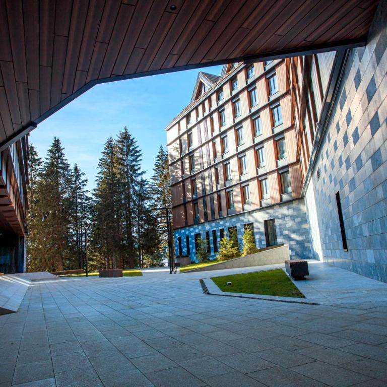 Woodside Kopaonik 417-418 - Deluxe Studio - 22