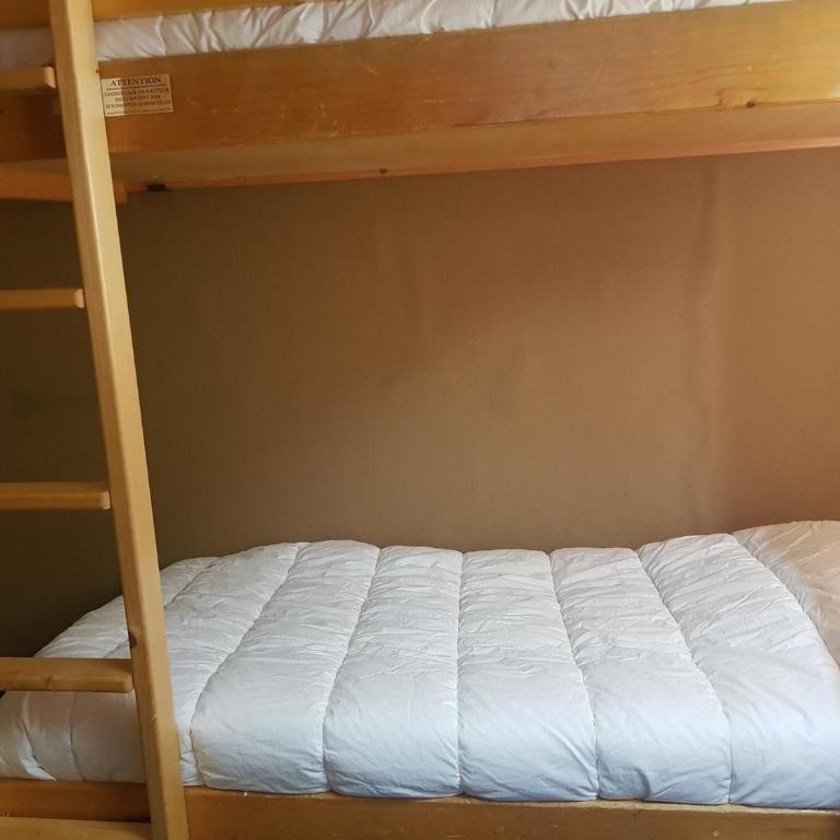 Studio ski aux pieds Arc 1600, 4 pers, animaux admis - FR-1-411-452 - Studio - 6