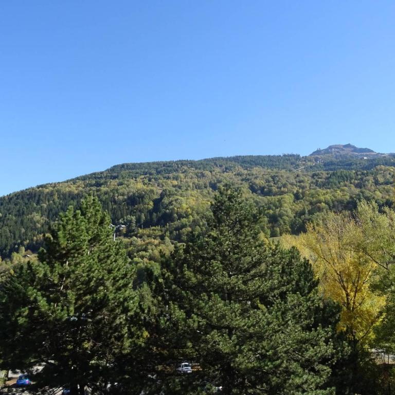 Studio 3 personnes avec piscine et animaux admis à Bourg-Saint-Maurice - Studio - 7