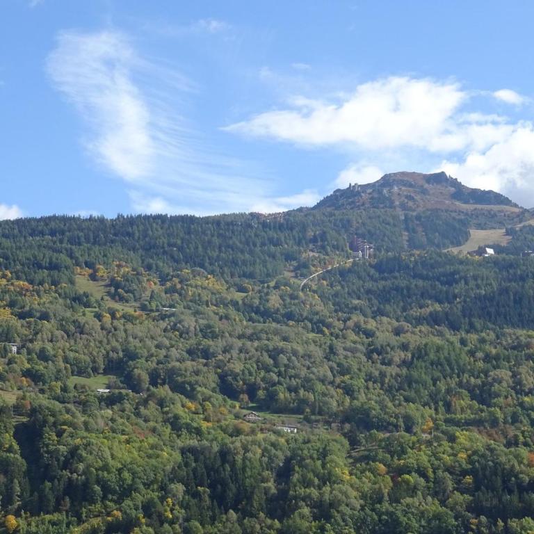 Appartement 2 pièces, 4 pers. à Bourg Saint Maurice, balcon sud, animaux acceptés - FR-1-411-520 - Appartement (4 Adultes) - 3