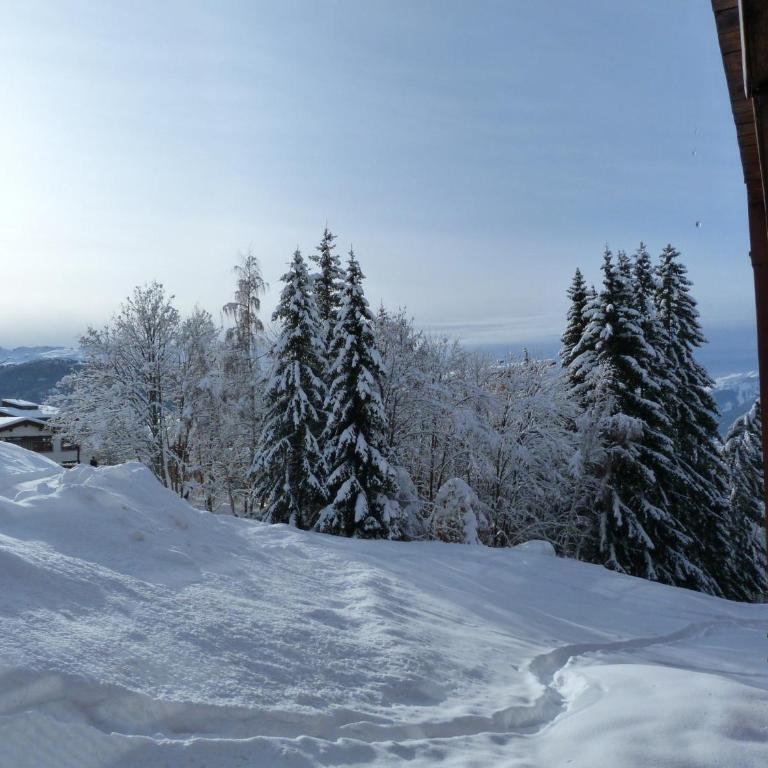 Arc 1800: Appartement 2 pièces, 6 pers., Wifi, animaux admis - FR-1-411-507 - Appartement (6 Adultes) - 11