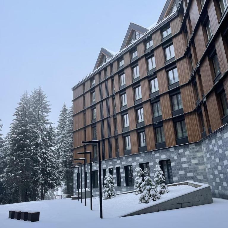 Woodside Kopaonik 417-418 - Deluxe Studio - 21