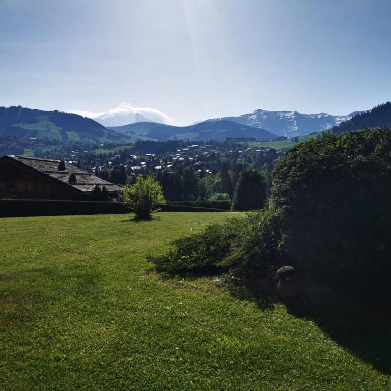 Terrasse sur Mont-Blan c - Appartement avec Vue sur la Montagne - 1