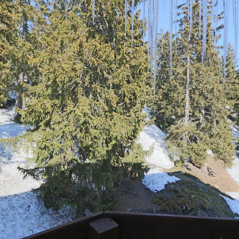Studio mezzanine pour 4, à 50m des pistes, balcon, proche commerces, équipements complets - FR-1-398-580 - Studio - 11