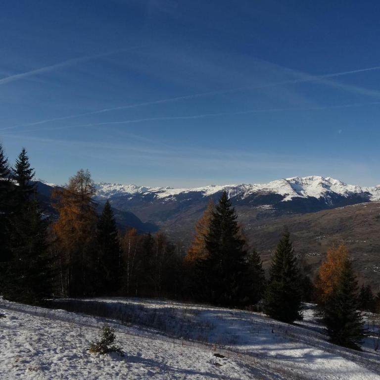 2 pièces 5 pers, proche pistes, Animaux bienvenus, Arc 1800 - FR-1-411-541 - Appartement (5 Adultes) - 6