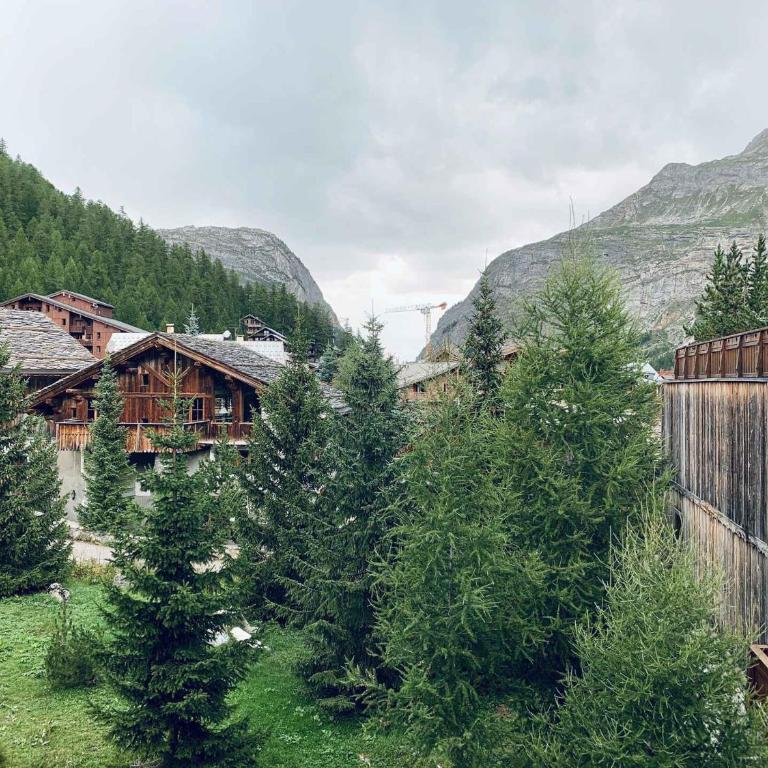Appartement 2 pièces vue montagne - 4 pers. - FR-1-411-554 - Appartamento (4 Adulti) - 2