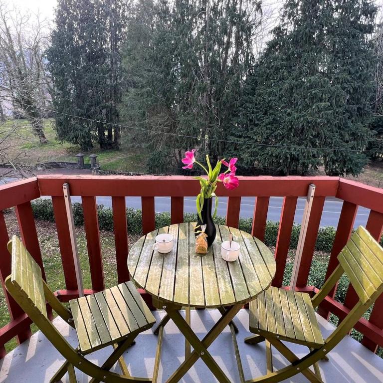 Cambo-les-Bains : T1 Bis lumineux avec balcon, parking, animaux admis - One-Bedroom Apartment - 5