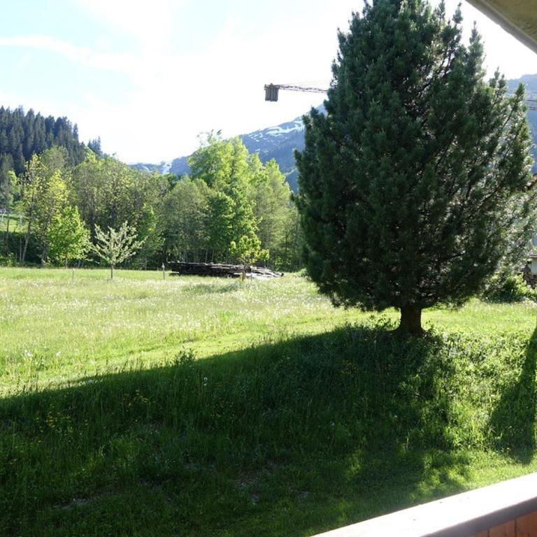Appartement 46m², 2 étoiles, 6 pers, au pied des pistes, Planay, proche Arêches - Appartement 2 Chambres - 2