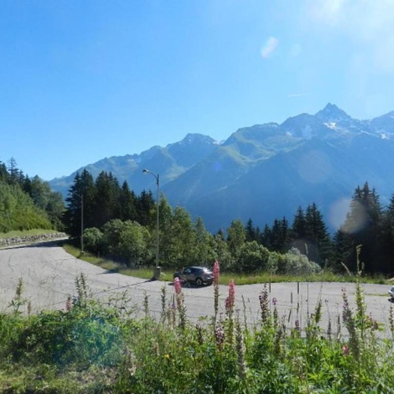 Studio 18m² pour 3 pers, proche pistes, animaux admis - Appartement 1 Chambre - 5