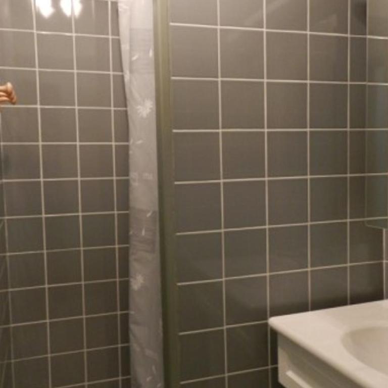 Studio 18m² pour 3 pers, proche pistes, animaux admis - Appartement 1 Chambre - 8