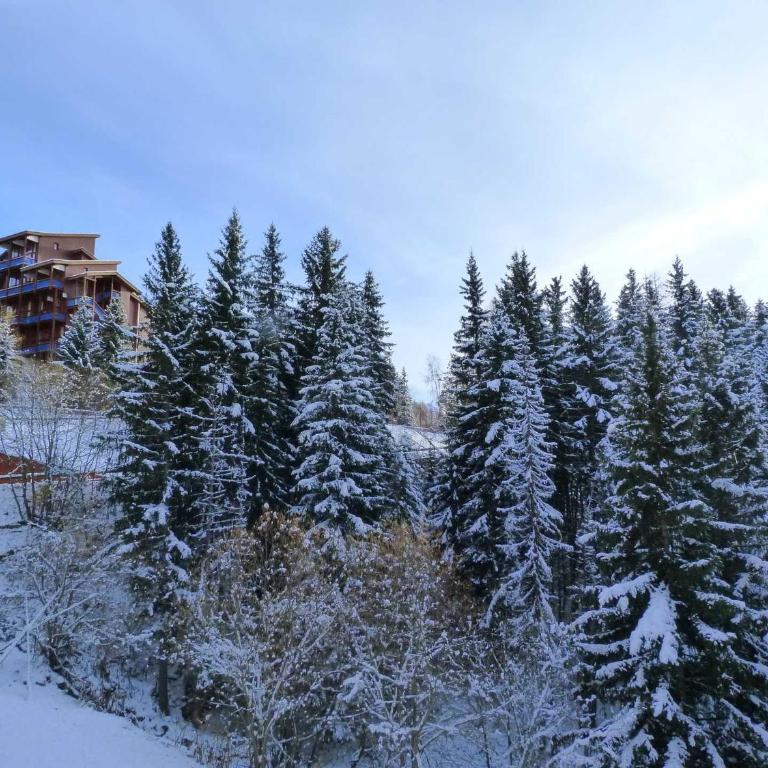 Appartement rénové 4 pièces pour 8 au coeur d'Arc 1800, animaux admis - FR-1-411-600 - Appartement (8 Adultes) - 9