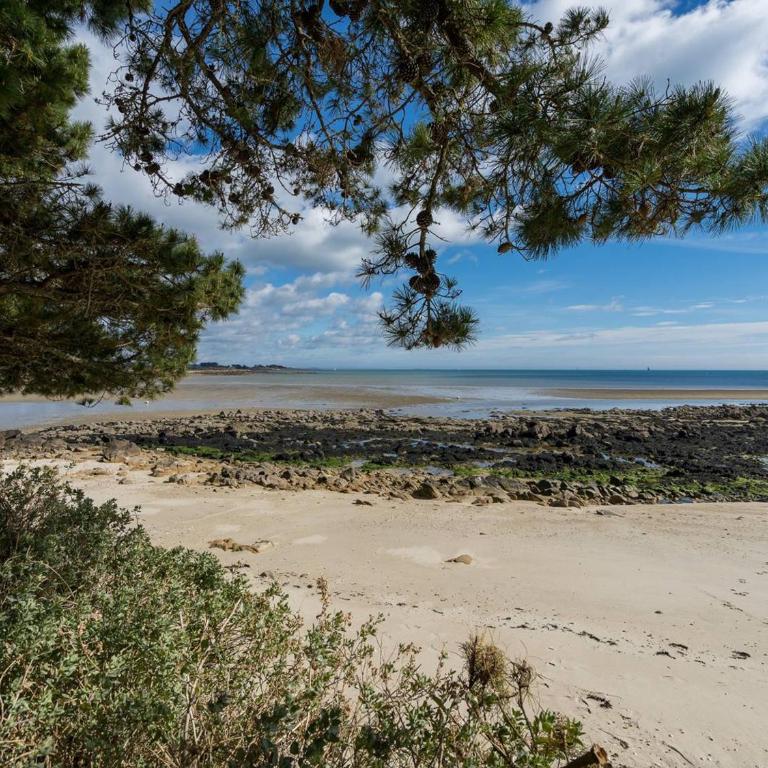 Carnac - Appart 3 pièces + coin couchage, 78m², accès direct plage, animaux admis, parking couvert - FR-1-477-88 - Appartement (6 Adultes) - 16