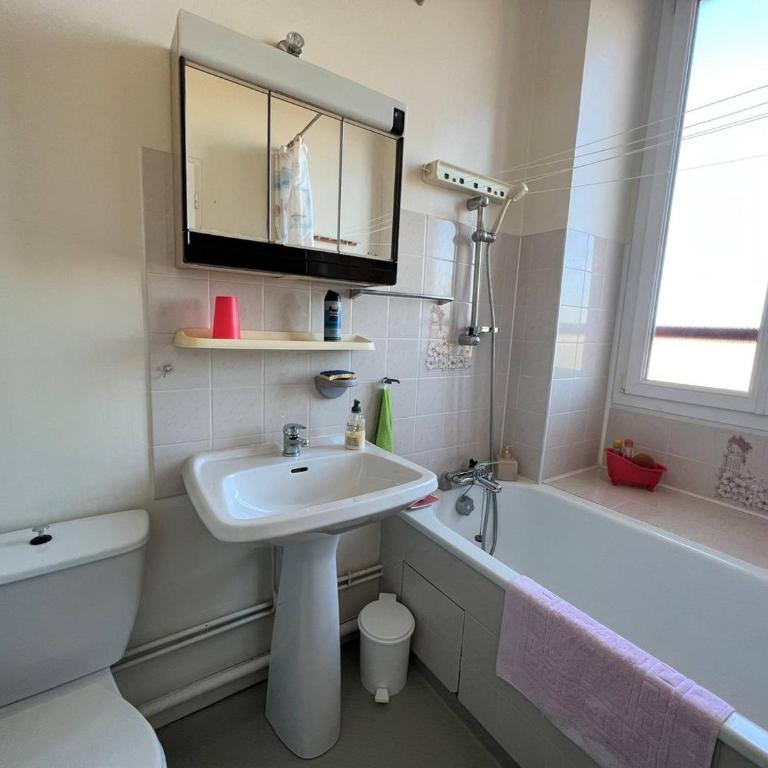 Studio lumineux à Cambo-les-Bains, proche thermes, coin nuit, kitchenette, internet, animaux acceptés - Studio - 8