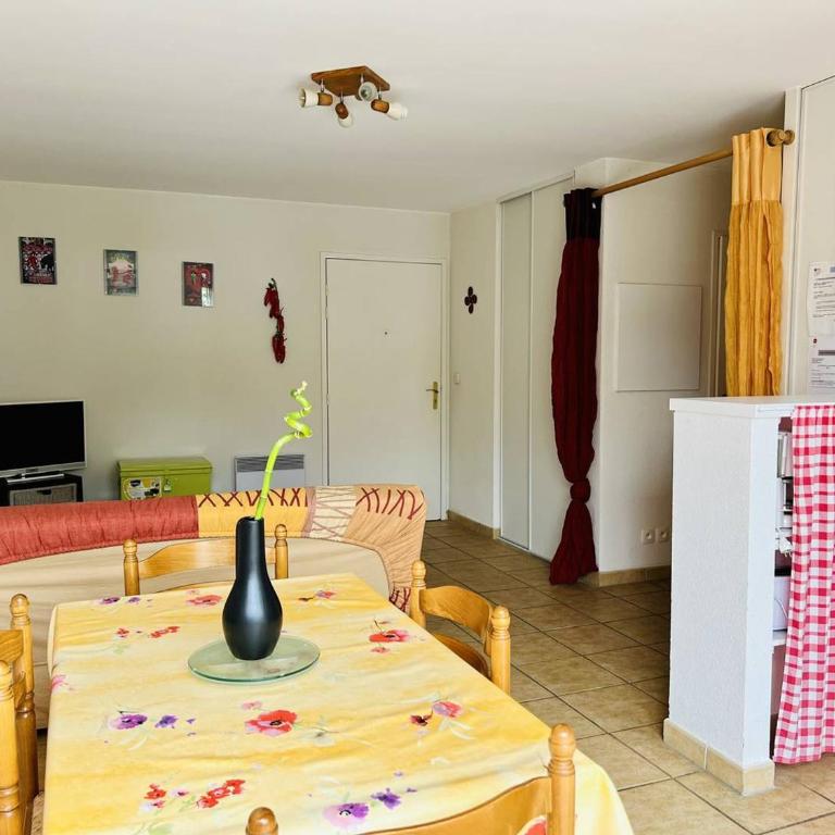 Appartement F2 avec piscine et parking à Cambo-les-Bains - Appartement 1 Chambre - 12