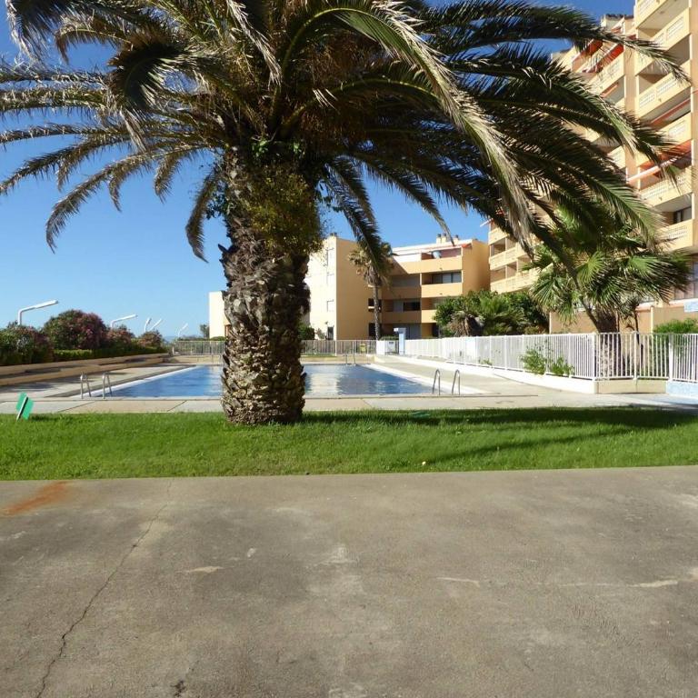 Grand T2 avec Piscine, Terrasse et Accès Direct à la Plage, 4 Personnes - Port Barcarès - FR-1-81-505 - Apartment (4 Erwachsene) - 8