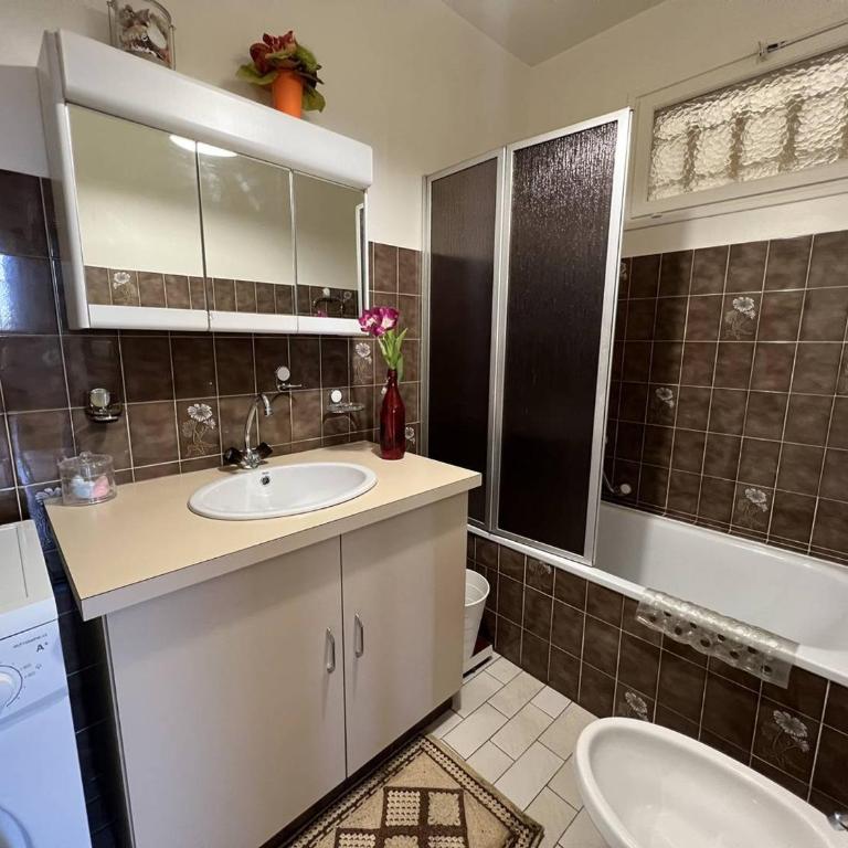 T2 confortable au centre-ville avec animaux admis et Wi-Fi - Appartement 1 Chambre - 12